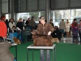 Duo Cacib Brno 2010